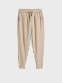 Джогери Tommy Hilfiger модель MW0MW37242-RBT Фото