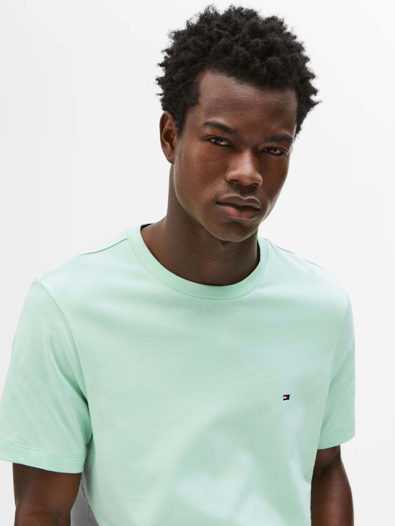 Футболка Tommy Hilfiger модель MW0MW39995-LXY Фото