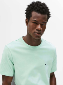 Футболка Tommy Hilfiger модель MW0MW39995-LXY Фото