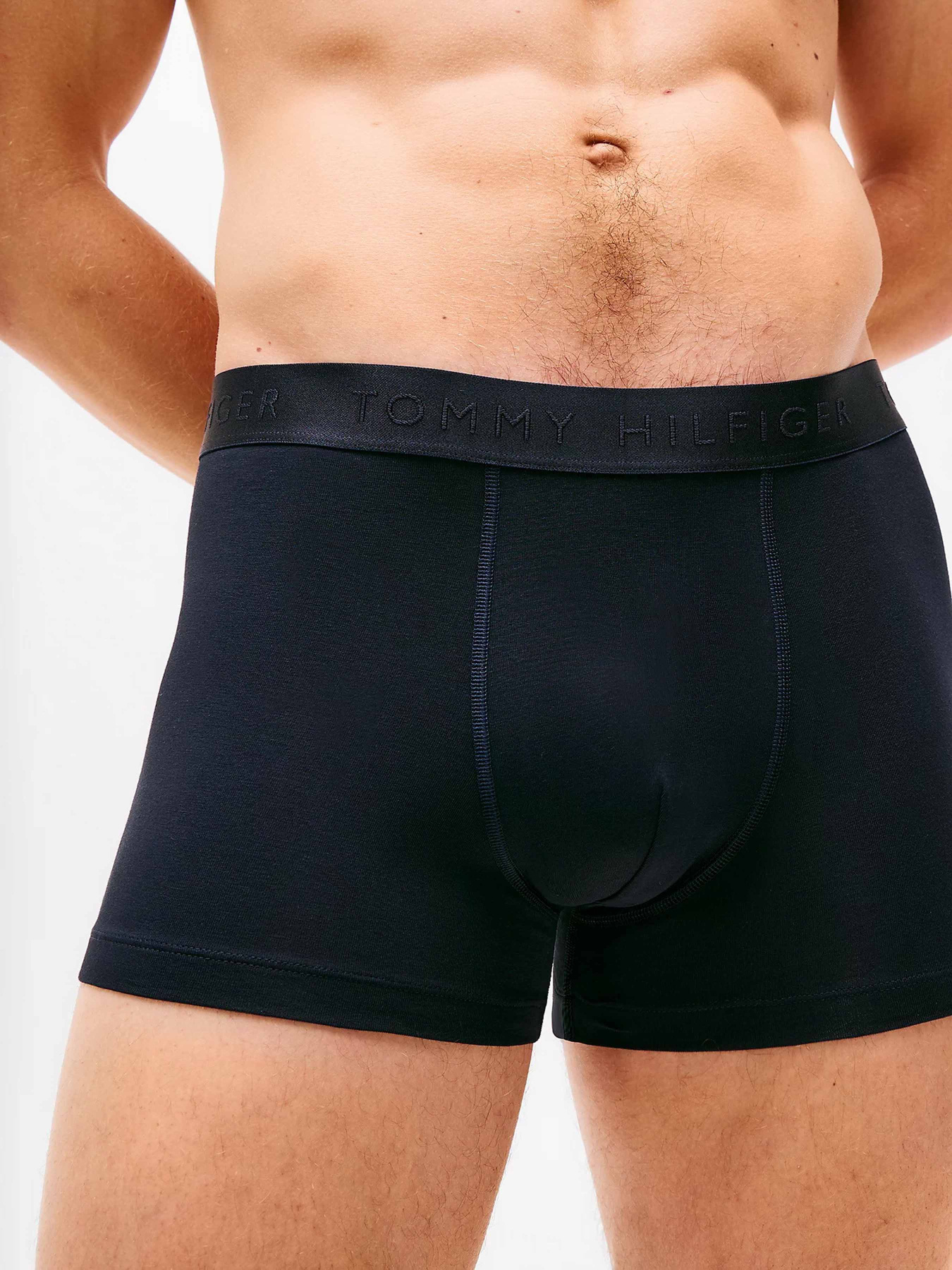 Набір трусів Tommy Hilfiger модель UM0UM02760-0WM Фото