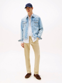 Брюки повседневные Tommy Hilfiger модель MW0MW38801-RBT Фото