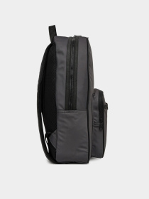 Повседневный рюкзак Tommy Hilfiger модель AM0AM13464-PSM Фото