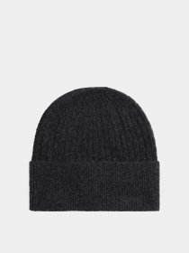 Шапка Tommy Hilfiger модель AW0AW17776-BDS Фото