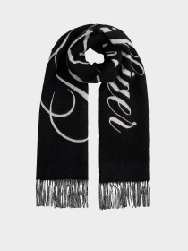 Шарф Tommy Hilfiger модель AW0AW17786-BDS Фото