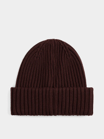 Шапка Tommy Hilfiger модель AW0AW17909-GS7 Фото