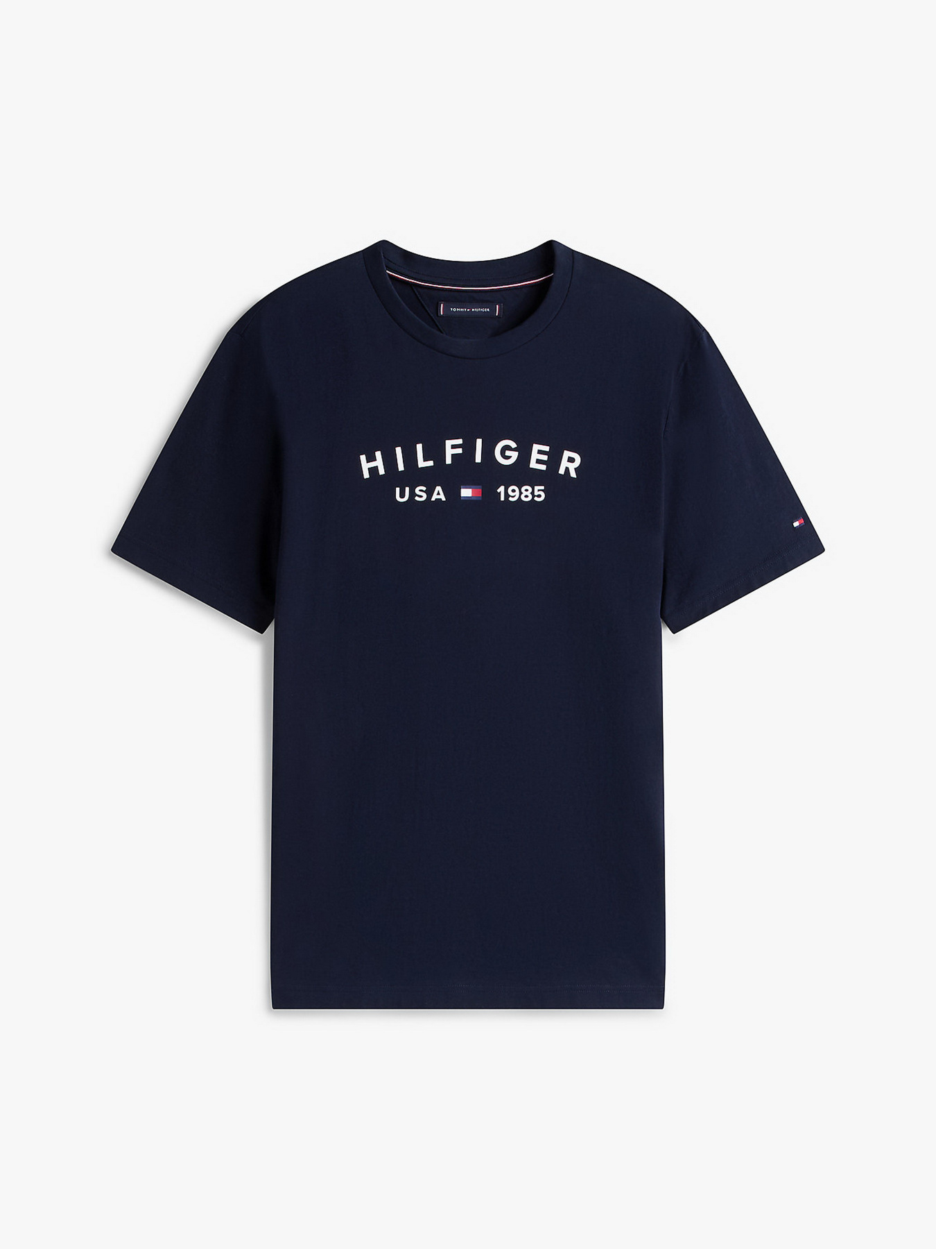 Футболка Tommy Hilfiger модель MW0MW39356-DW5 Фото
