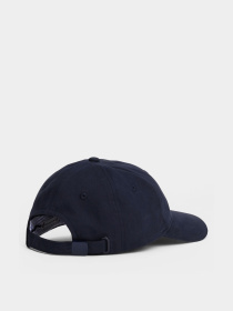 Шапки и кепки Tommy Hilfiger TH FLAG SOFT 6 PANEL CAP модель AW0AW17781-DW6 Фото