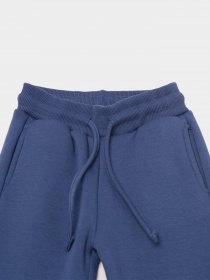 Штани спортивні Trendyol модель TKDAW22EA0101/Indigo Фото