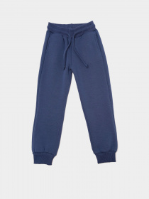 Штани спортивні Trendyol модель TKDAW22EA0101/Indigo Фото