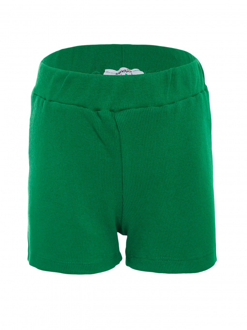 Шорты Trendyol модель TKDSS22SR00006/Yesil Фото
