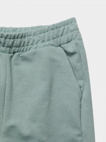 Шорты Trendyol модель TKDSS22SR0524/Mint Фото