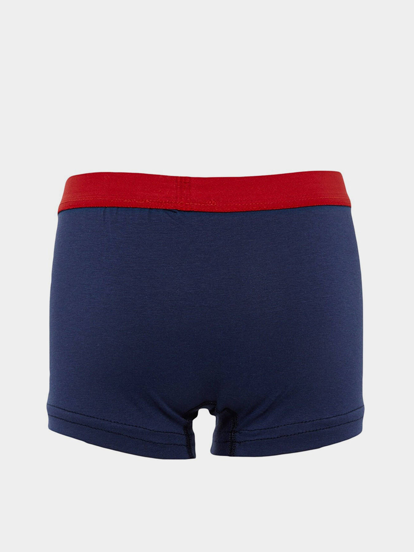 Набор трусов Trendyol модель TKDAW23BX00000/Mavi-Yesil Фото