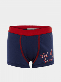 Набор трусов Trendyol модель TKDAW23BX00000/Mavi-Yesil Фото