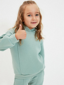 Світшот Trendyol модель TKDAW22SW0657/Mint Фото