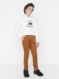 Чіноси Trendyol модель TKDAW23PL00027/Kiremit Фото