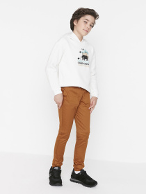 Чіноси Trendyol модель TKDAW23PL00027/Kiremit Фото