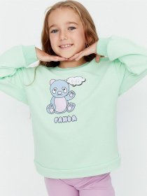 Свитшот Trendyol модель TKDAW23SW00045/Mint Фото