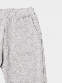 Штаны спортивные Trendyol модель TKDSS21EA0228/Gri Фото