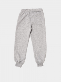 Штаны спортивные Trendyol модель TKDSS21EA0228/Gri Фото