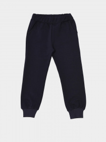 Штаны спортивные Trendyol модель TKDSS21EA0228/Lacivert Фото