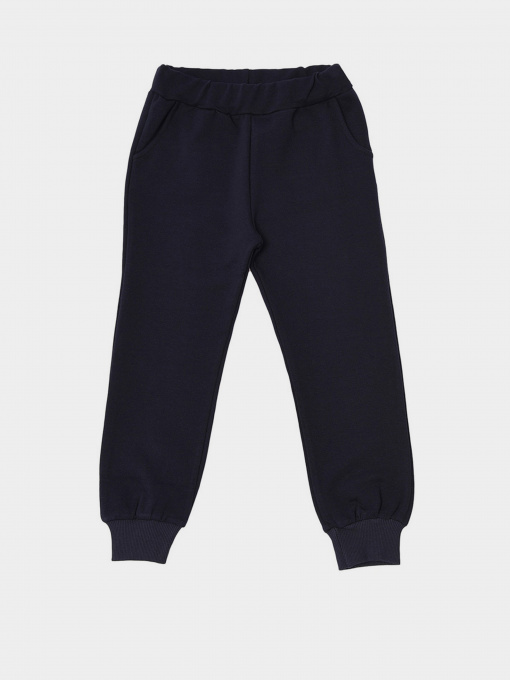 Штаны спортивные Trendyol модель TKDSS21EA0228/Lacivert Фото