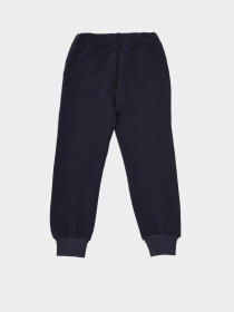 Штаны спортивные Trendyol модель TKDSS21EA0228/Lacivert Фото