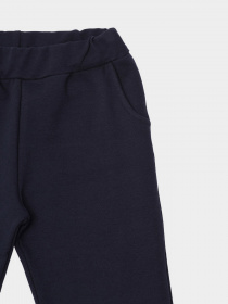 Штаны спортивные Trendyol модель TKDSS21EA0228/Lacivert Фото