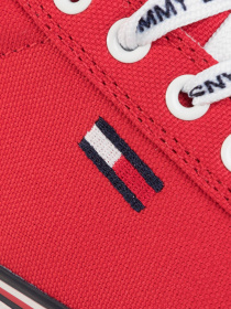 Кеды низкие Tommy Hilfiger модель EN0EN00786-XNL Фото