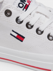 Кеды низкие Tommy Hilfiger модель EN0EN01351-YBR Фото