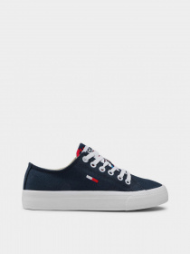 Кеды низкие Tommy Hilfiger Lowcut Vulc модель EN0EN01417-C87 Фото