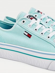 Кеды низкие Tommy Hilfiger Flatform Vulc модель EN0EN01423-CSW Фото