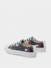 Кеды низкие Tommy Hilfiger Print модель EN0EN01498-0GZ Фото