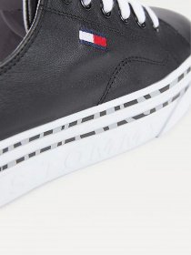 Кеды низкие Tommy Hilfiger модель EN0EN01626-BDS Фото