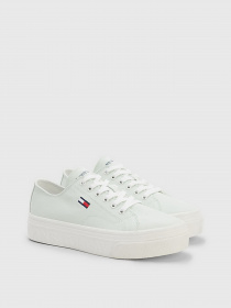 Кроссовки Tommy Hilfiger модель EN0EN02173-LXW Фото