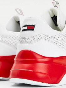 Кроссовки Tommy Hilfiger модель EM0EM00648-C87 Фото