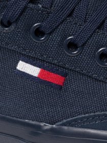 Кеды низкие Tommy Hilfiger Skate Core Vulc модель EM0EM00800-C87 Фото