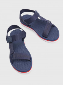 Сандалии Tommy Hilfiger модель EM0EM00976-0GY Фото