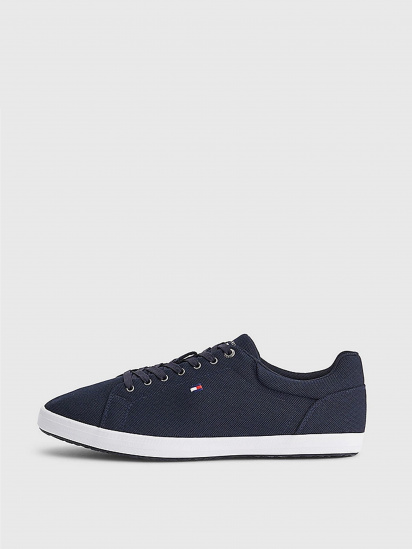 Кеди низькі Tommy Hilfiger Iconic Vulc Mesh Logo модель FM0FM04034-DW5 — фото - INTERTOP