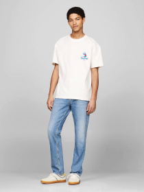 Кеды низкие Tommy Hilfiger модель EM0EM01414-ZGR Фото