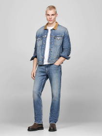 Челси Tommy Hilfiger модель EM0EM01469-GWN Фото