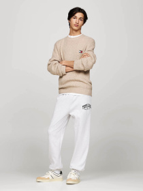 Кеды низкие Tommy Hilfiger модель EM0EM01462-YBI Фото