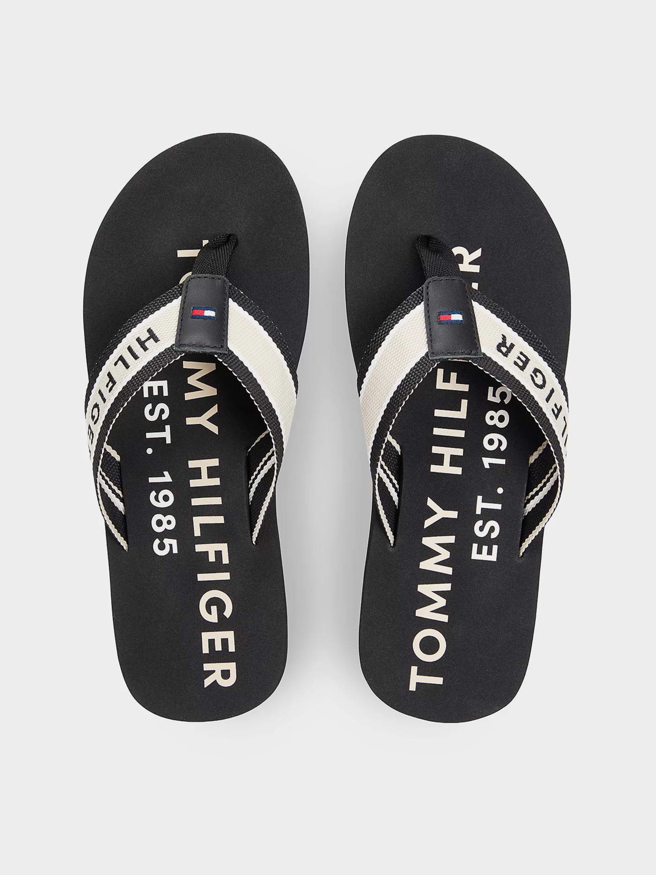 Tommy Hilfiger модель FM0FM05805-BDS Фото