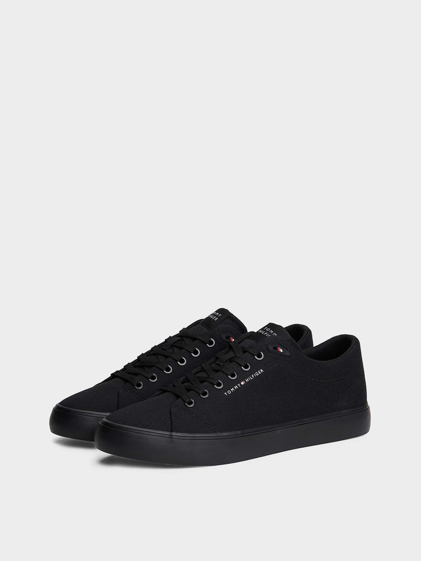 Кеды Tommy Hilfiger HARLEM CORE II CVS модель FM0FM05817-BDS Фото