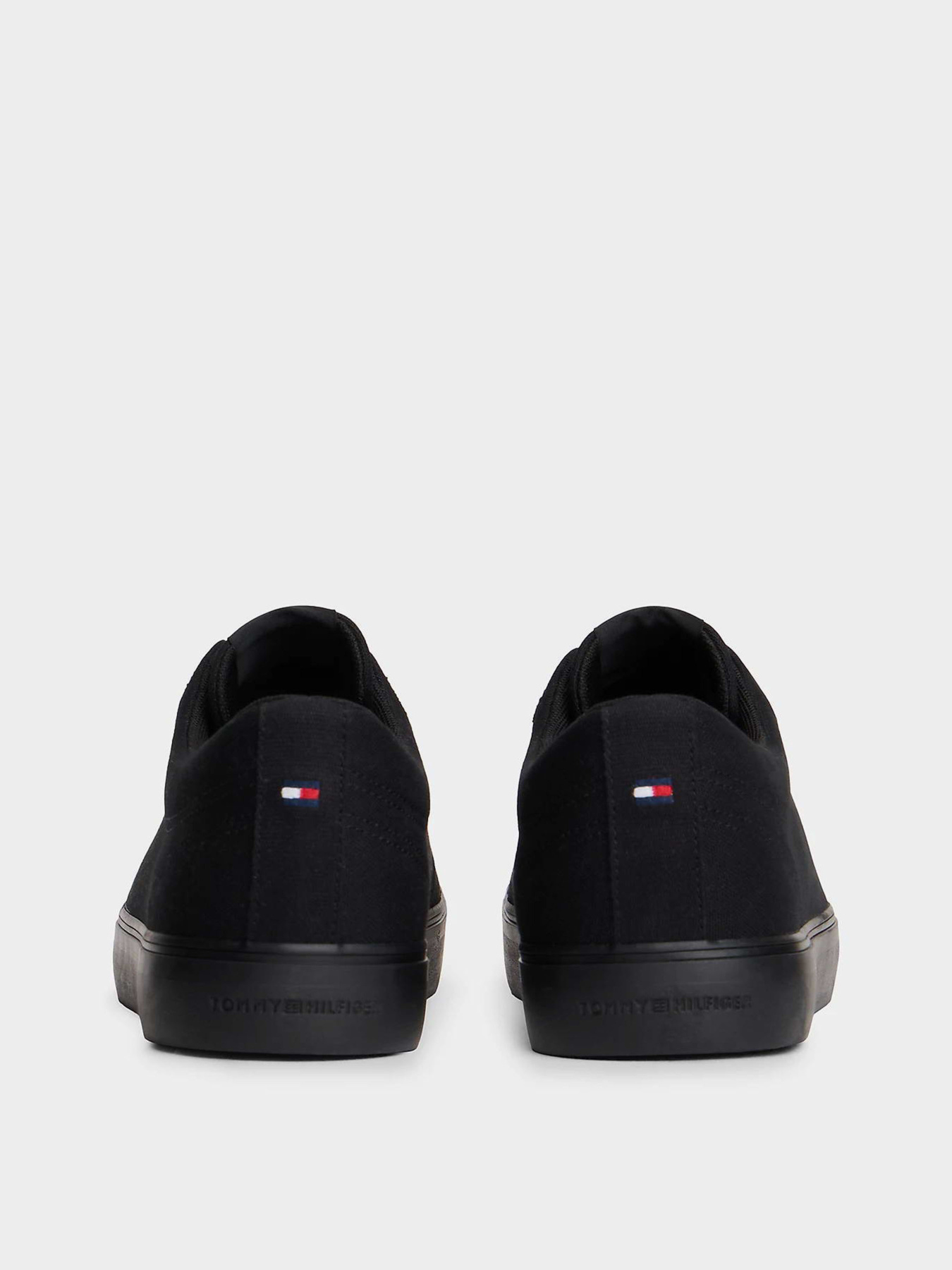 Кеды Tommy Hilfiger HARLEM CORE II CVS модель FM0FM05817-BDS Фото