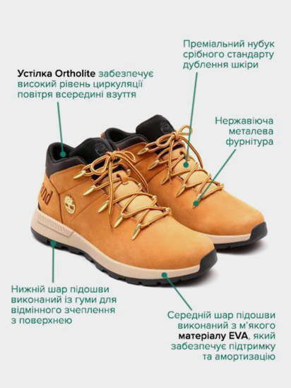 Черевики Timberland Euro Sprint Hiker модель TB0A1XVQ231 — фото - INTERTOP