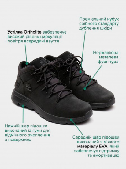 Черевики Timberland Field Trekker Euro Sprint Mid Hiker модель TB0A1YN5015 — фото - INTERTOP