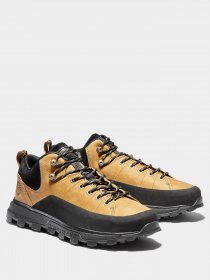 Кроссовки повседневные Timberland Treeline Low модель TB0A274M231 Кроссовки повседневные Timberland Treeline Low модель TB0A274M231 Фото