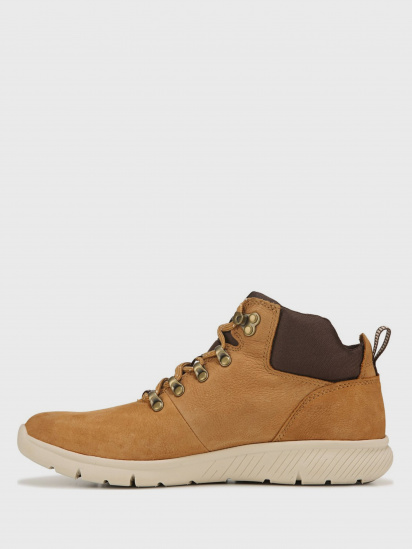 Черевики Timberland Boltero Hiker модель TB0A1R1V231 — фото - INTERTOP