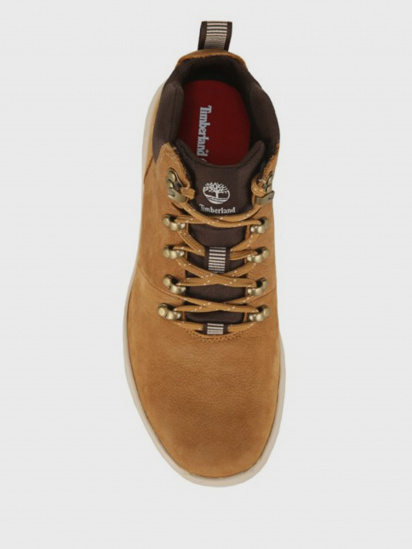 Черевики Timberland Boltero Hiker модель TB0A1R1V231 — фото 4 - INTERTOP