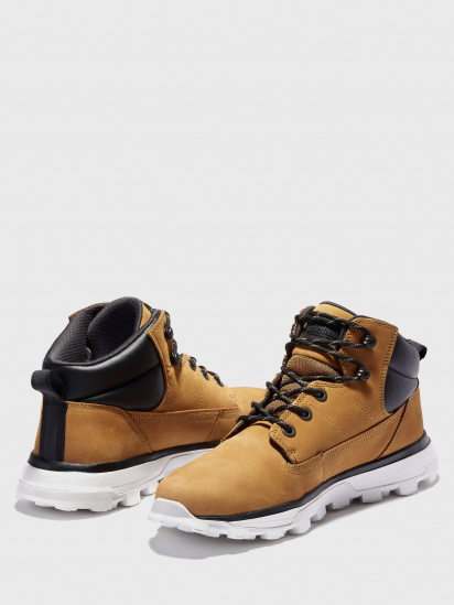 Черевики Timberland Treeline модель TB0A28KU231 — фото - INTERTOP